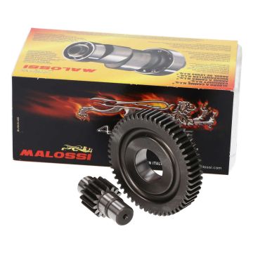 Kit de transmission secondaire -Malossi- Piaggio 50- 15/55 dents (1:3,66)Primavera/Sprint 2V/3V/4V/Liberty 2/4 temps/New Fly 4V/Centro-Ciak 2V/Sportcity One-Scarabeo 2/4 - course 2V/4V 6711135