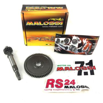 Axe primaire Kymco People S/Agility 16 Malossi 6714189