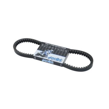 ceinture minarelli hor+vert polini 248.003