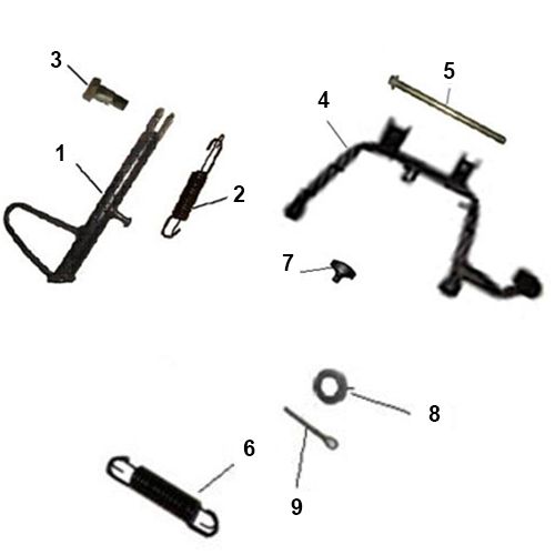 BTC Bellagio (12 pouces) 13