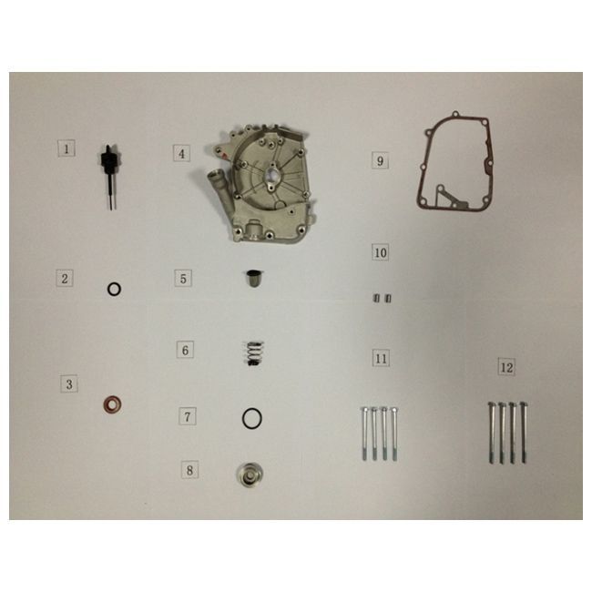 Carterhelft rechts - Oliefilter - Peilstok AGM VX50i