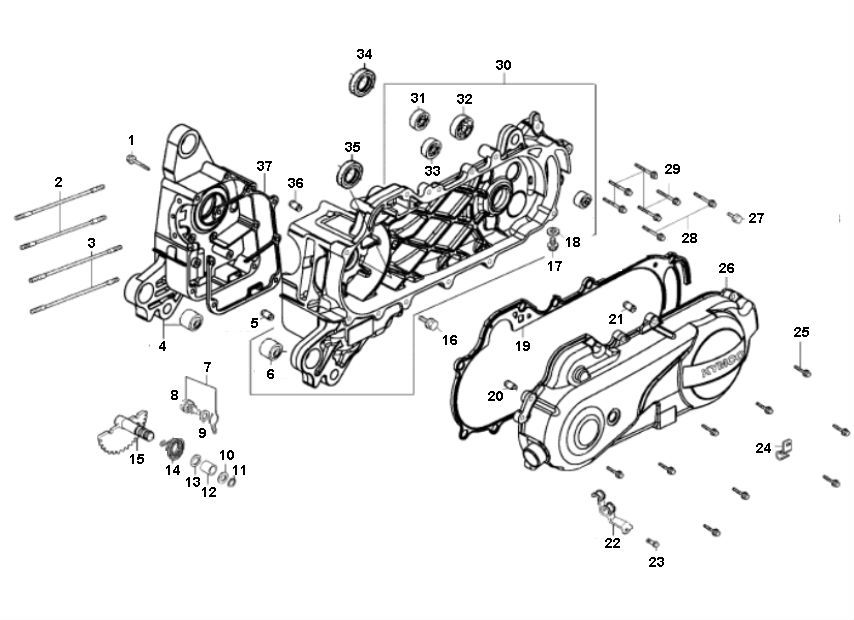 Carter d'huile Viraggio Intelli 4 temps