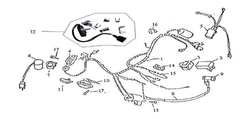 Pièces électriques Santini Firenze 125cc