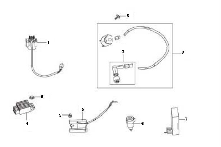 Pièces électriques Berini Speedy 4 temps