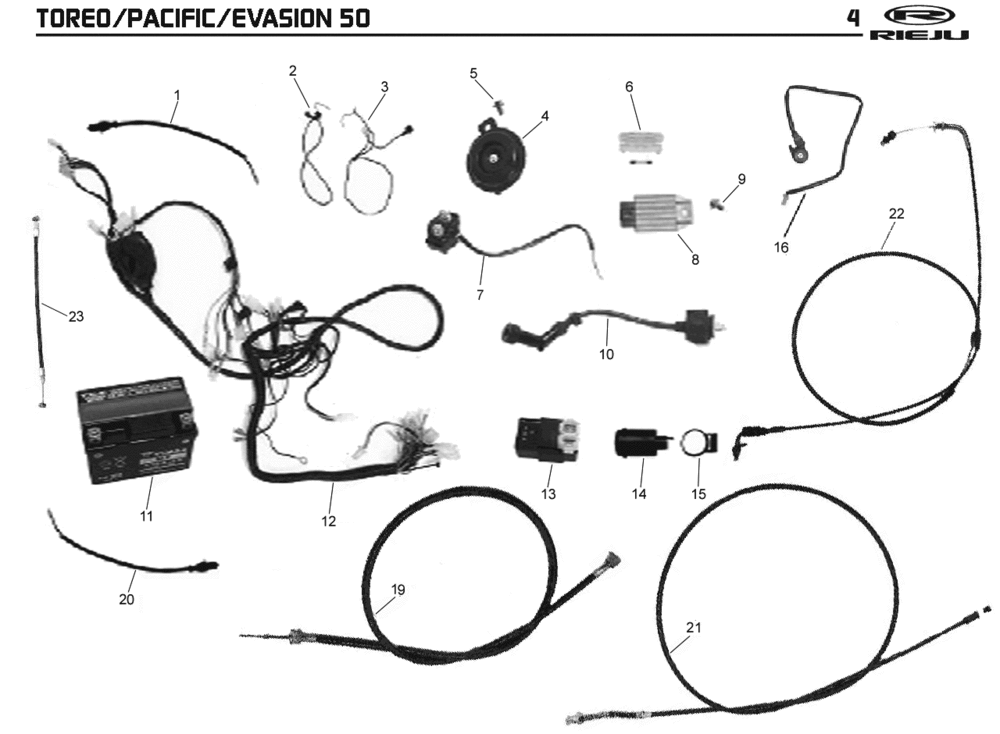 Pièces électriques Rieju Pacific grey 2009 2 temps