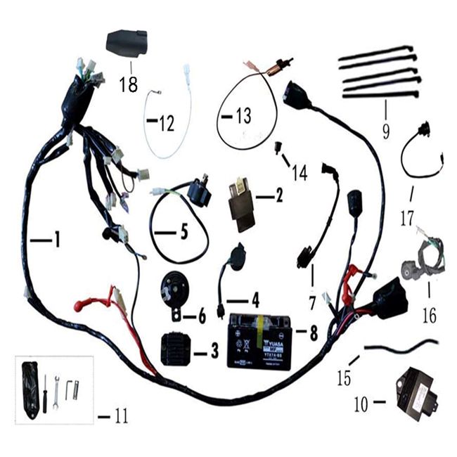 Pièces électroniques BTC Ceo Nouveau