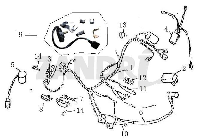 Faisceau de câblage Allumage BTC Grande Retro GT1 crème café