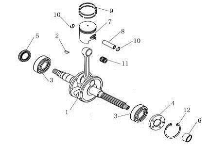 Vilebrequin AGM Venom vert