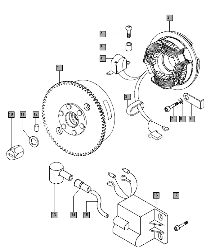 Ontsteking elektrische start Tomos STANDARD XL (L0-L1)