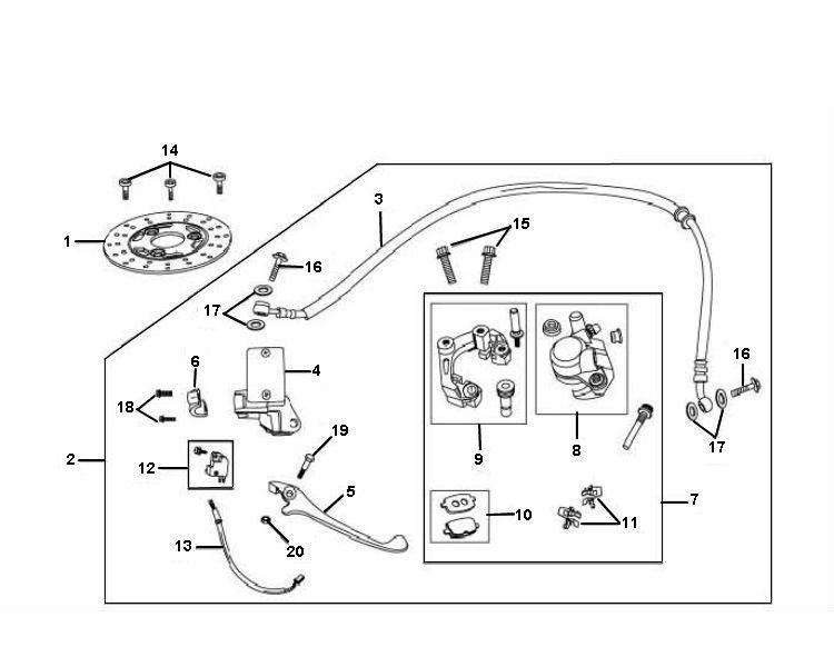 Frein avant China Filly 4 temps