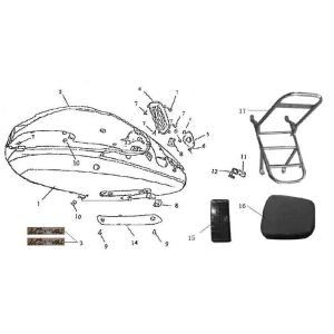 Cache arrière Eagle-Wing Torino 125cc