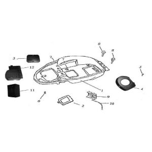 Sellebak China GT rose