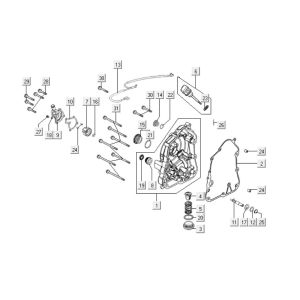 Carter moteur droit Kymco Downtown 125i