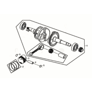 Vilebrequin Sym Fiddle III 50 E3