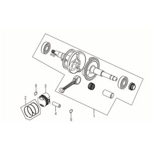 Vilebrequin Sym Jet 14 50I E5