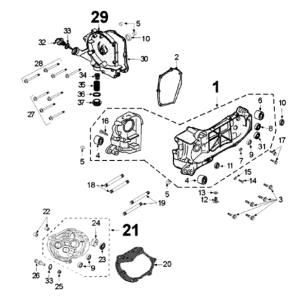 Carter moteur Django 50 4T Evasion