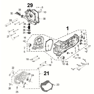 Filtre à huile Carter - Jauge à jauge Euro 5 4 temps Peugeot Django