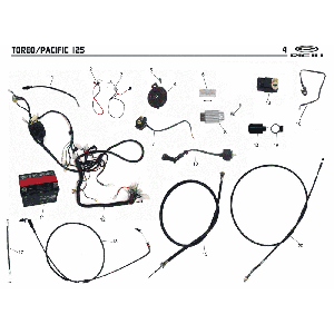 Pièces électriques Rieju Pacific 125 rouge 2 temps