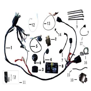 Pièces électroniques BTC Cruise
