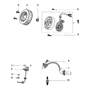 Volant Magneto Django 50 4T Evasion