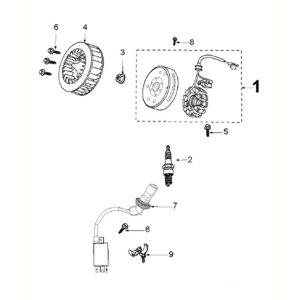 Allumage - Stator - Volant - Bobine d'allumage - Capot Peugeot Kisbee 4 temps Euro 5