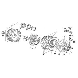 Lien SENDA SM DRD - O.M.