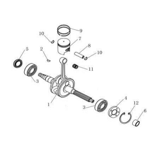 Vilebrequin China Venom blanc