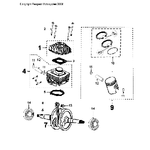 Vilebrequin et cylindre Peugeot Citystar 50 Brown