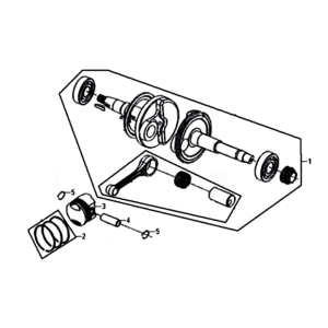 Vilebrequin Sym Fiddle II Euro4 (WH-006) Blanc