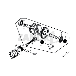 Vilebrequin Sym Tonik (WH8018P) blanc