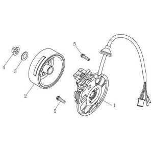 Allumage AGM Venom noir