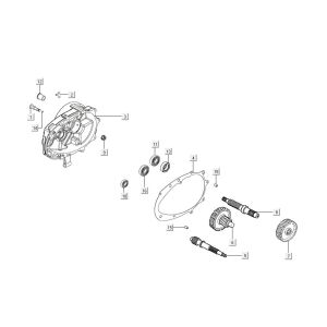Transmission Kymco Agility 16'+ 4 temps injection euro4 rouge