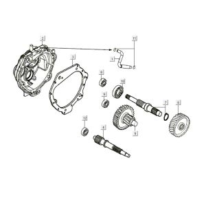 Transmission Kymco Like 200i Noir