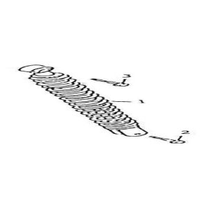 Amortisseur China GT blanc