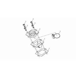 Manifold China Venom blanc