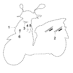 Stickers Peugeot Tweet 125 V E3 2013-2017