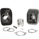 Cylindre avec culasse Polini 63cc Racing diamètre 43mm- Piaggio Ciao/Bravo/Boxer (axe de piston = diamètre 10mm) 140.0065/10R